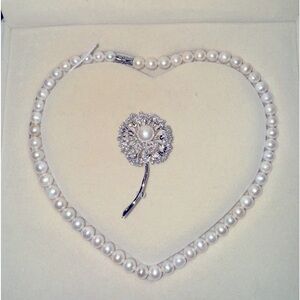 Pearl necklace and pearl brooch
